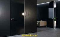 Стеклянные двери скрытого монтажа
