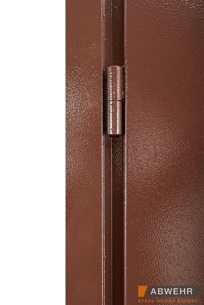 Вхідні двері ABWEHR Storage (ST) з лиштвою - Вуличні 01550 фото